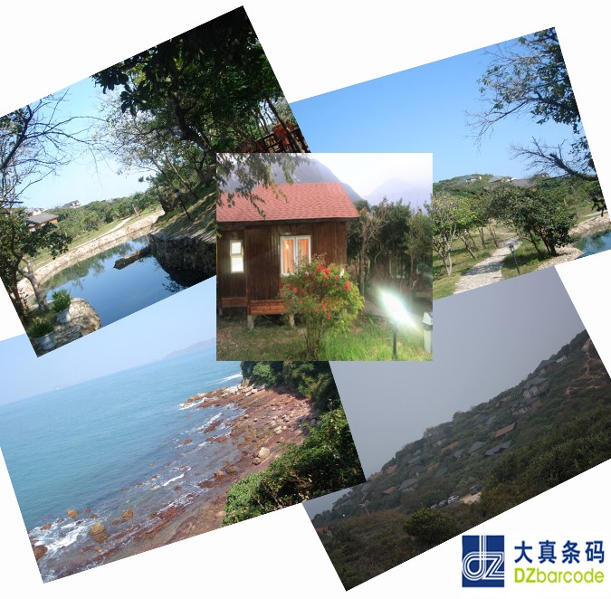 大真条码2012年会"蜕变"