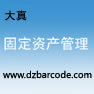 大真固定资产管理